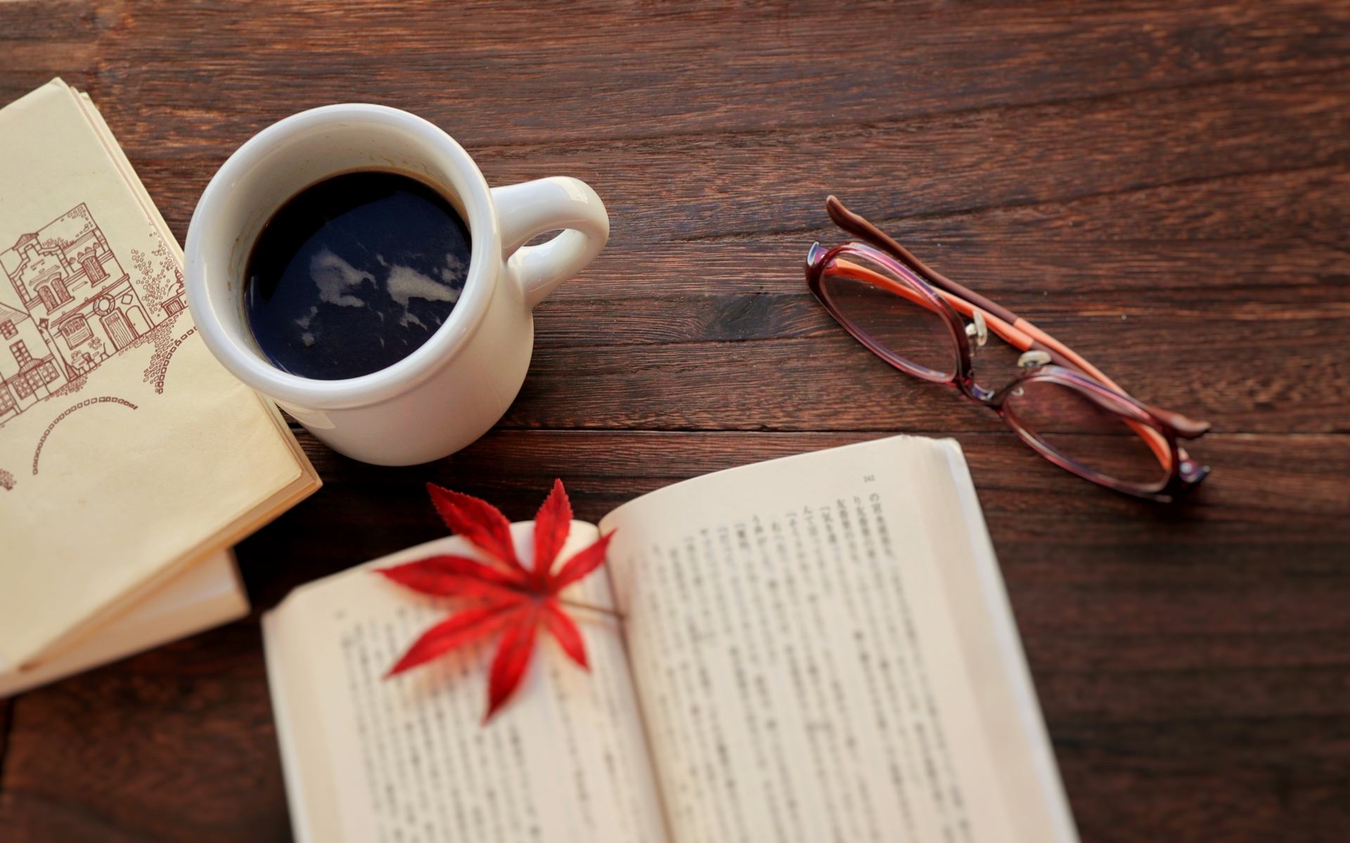 猫が出てくる小説